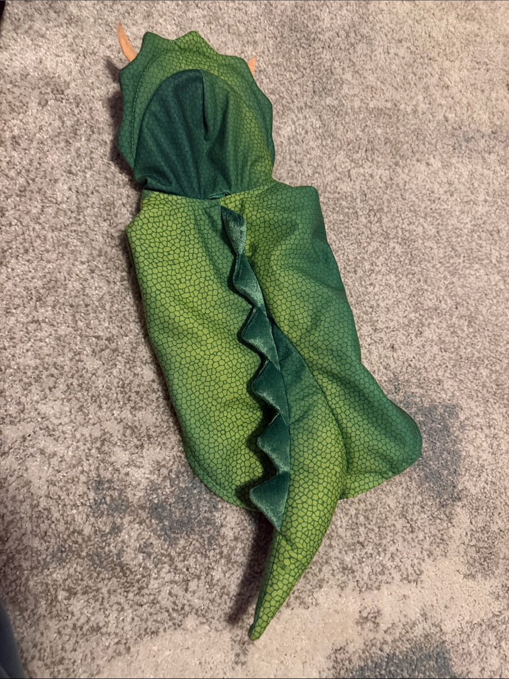 Dinosaur Dog Costume 🦖